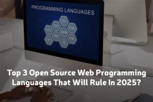 Web Programming Languages
